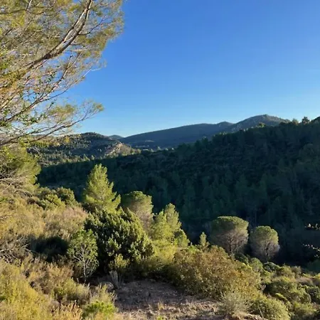 L'abeille * Durban-Corbieres