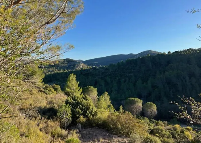 L'abeille * Durban-Corbieres